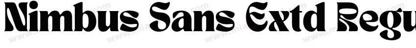 Nimbus Sans Extd Regular字体转换